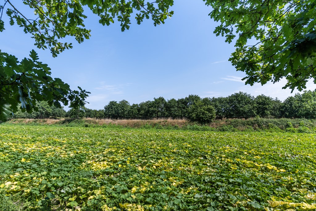 Noordzeepark-Haringvliet 131, Ouddorp