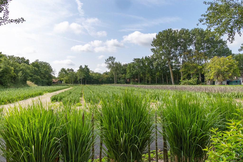 De Toekomst 126, Ouddorp