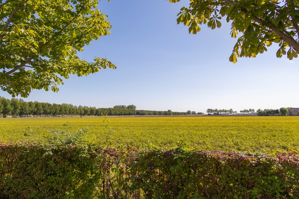 Koningspleisterplaats 214, Goedereede