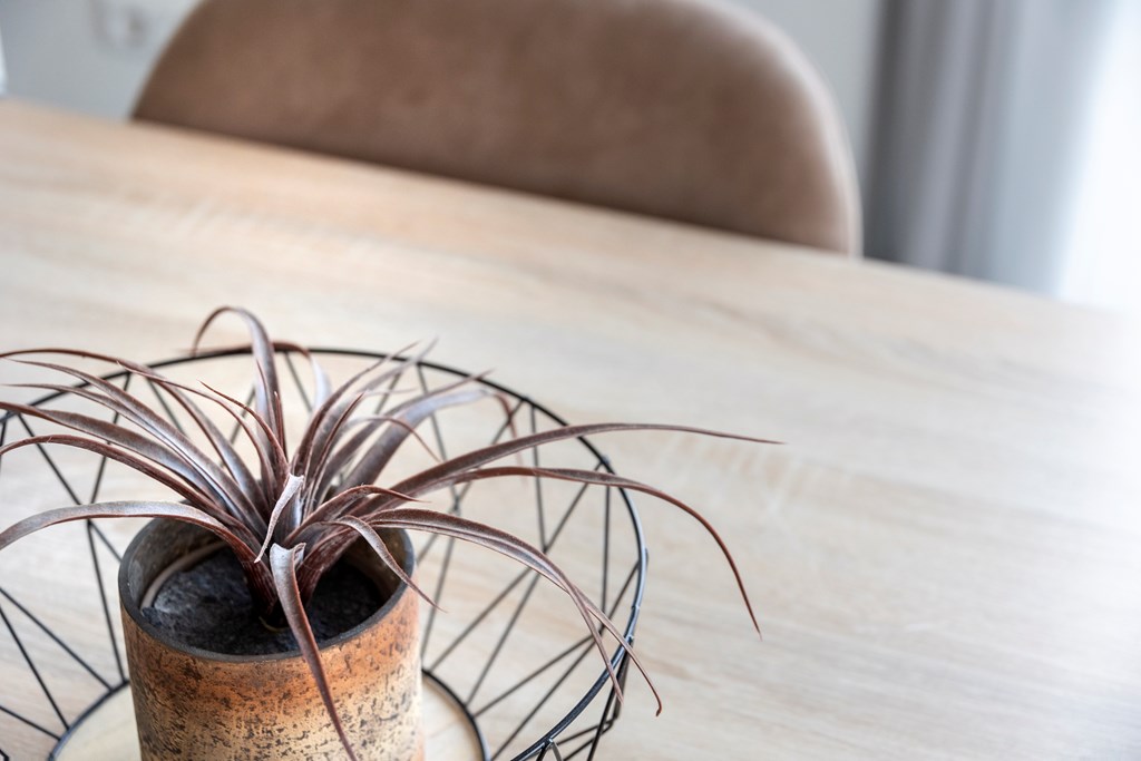 Ridderstee 106, Ouddorp